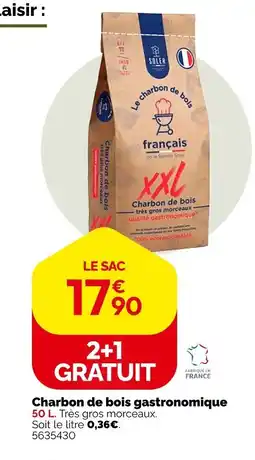 Weldom Charbon de bois gastronomique offre