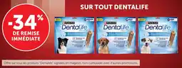Maximarché Sur tout dentalife offre