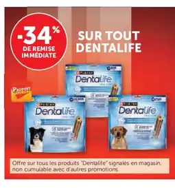 Hyper U DENTALIFE Sur tout offre
