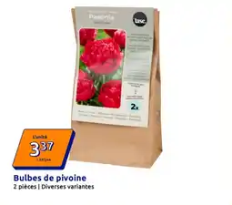 Action Bulbes de pivoine offre
