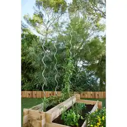 Carrefour Market Gardelys tuteur spirale pour tomates offre