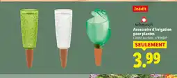 Lidl Scheurich accessoire d’irrigation pour plantes offre