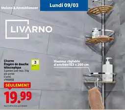 Lidl Livarno étagère de douche télescopique offre
