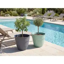 Carrefour Eda pot osaka ø 50 cm offre