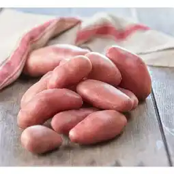 Carrefour Market Pomme de terre de consommation rouge à chair ferme filière qualité carrefour offre