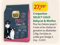 Maxi Zoo Select gold babycat & mother classic offre