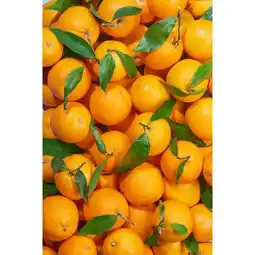 Carrefour Orange à feuille offre