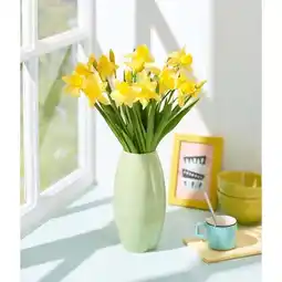 Carrefour Jonquille carlton offre