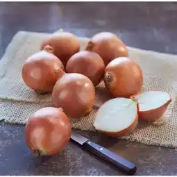 Carrefour Simpl oignon jaune offre