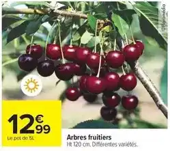 Carrefour Market Arbres fruitiers offre