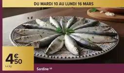 Carrefour SARDINE offre