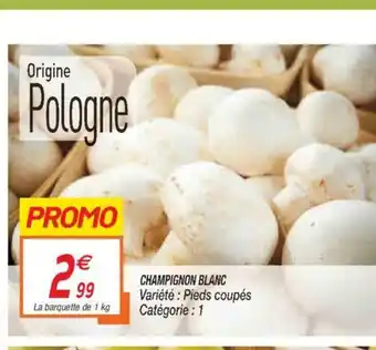 Netto Champignon Blanc offre