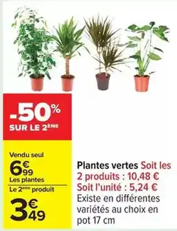 Carrefour Plantes vertes soit les offre