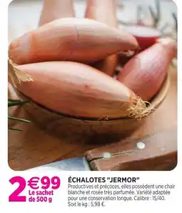 Delbard Échalotes jermor offre
