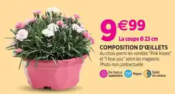 Delbard Composition d'œillets offre