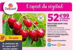 Delbard Delbard fruitiers demi-tige delbard offre