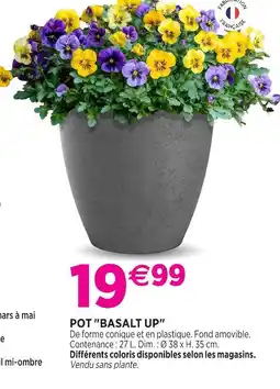 Delbard Pot basalt up offre