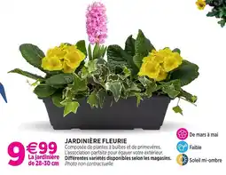 Delbard Jardinière fleurie offre