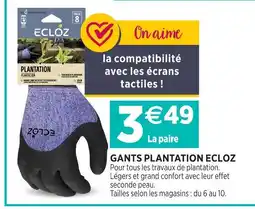 Delbard Ecloz gants plantation ecloz offre