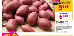 Delbard Pommes de terre stemster offre
