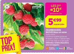 Delbard Invivo nous on sème framboisiers invivo nous on sème offre