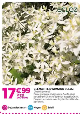 Delbard Ecloz clématite d'armand ecloz offre