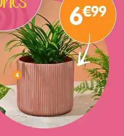 b&m Cache-pot côtelé terracota offre