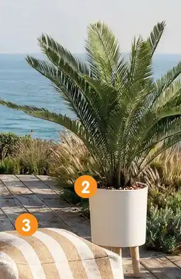 b&m Palmier artificiel offre