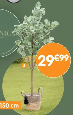 b&m Eucalyptus artificiel offre