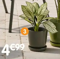 b&m Pot en céramique avec soucoupe offre