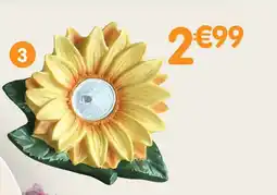 b&m Fleur solaire offre