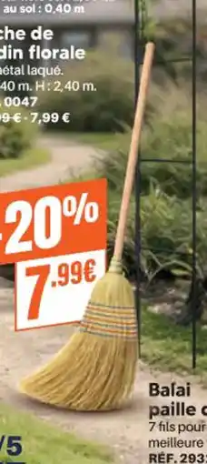 Shopix Balai paille de riz 7 offre