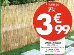 La Foir'Fouille Canisse roseau offre
