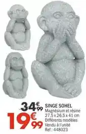 La Foir'Fouille Singe sohel offre