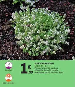E.Leclerc Plante aromatique offre