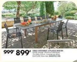 La Foir'Fouille HESPÉRIDE Table extensible 14 places miceira offre