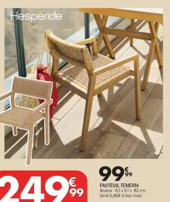 La Foir'Fouille Fauteuil temeira offre