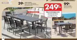 La Foir'Fouille Table extensible goa offre