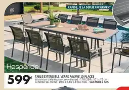 La Foir'Fouille HESPÉRIDE table extensible verre pavane 10 places offre