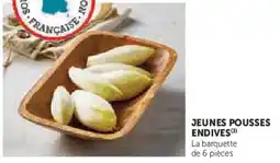 Super U Jeunes pousses endives offre