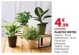 Super U Plantes vertes offre