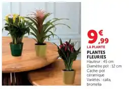 Super U Plantes fleuries offre