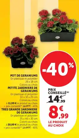 Super U Pot de geraniums offre