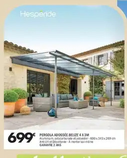 La Foir'Fouille HESPÉRIDE Pergola adossée belize 4 x3m offre