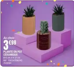 La Foir'Fouille Plante en pot ceramique offre