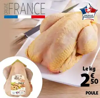 Auchan Poule offre