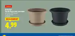 Lidl PARKSIDE Pot de fleurs avec soucoupe offre