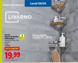 Lidl LIVARNO Étagère de douche télescopique offre