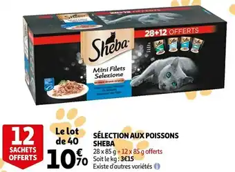 Auchan Sheba sélection aux poissons offre