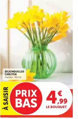 Hyper U 20 jonquilles carlton offre